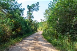 property photo for Willow Grove Tract 6, 5.39 acres for sale in Lamar County, Alabama