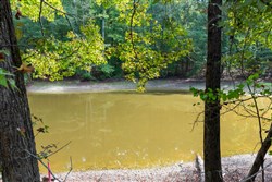 property photo for Willow Grove Tract 7, 5.22 acres for sale in Lamar County, Alabama