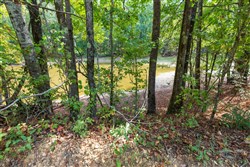 property photo for Willow Grove Tract 7, 5.22 acres for sale in Lamar County, Alabama