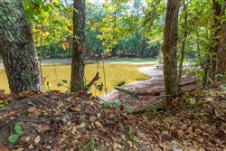 property photo for Willow Grove Tract 7, 5.22 acres for sale in Lamar County, Alabama