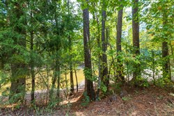 property photo for Willow Grove Tract 7, 5.22 acres for sale in Lamar County, Alabama
