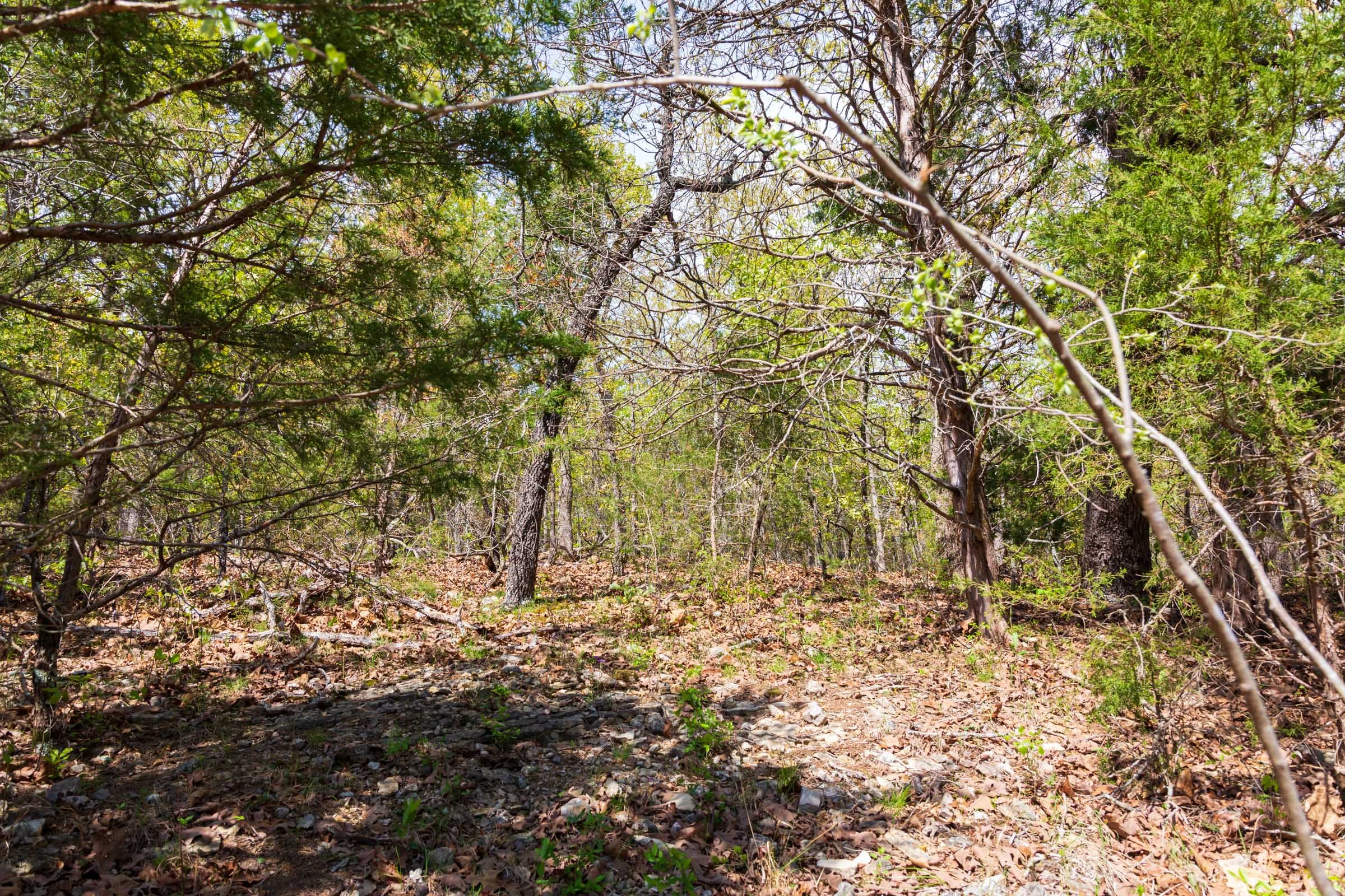 Tract 10 at Autumnwood in Fulton County, Arkansas