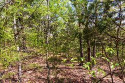 property photo for Autumnwood Tract 10, 6.28 acres for sale in Fulton County, Arkansas