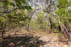 property photo for Autumnwood Tract 10, 6.28 acres for sale in Fulton County, Arkansas