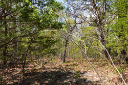 property photo for Autumnwood Tract 10, 6.28 acres for sale in Fulton County, Arkansas