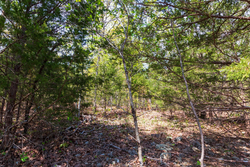 property photo for Autumnwood Tract 10, 6.28 acres for sale in Fulton County, Arkansas