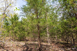 property photo for Autumnwood Tract 10, 6.28 acres for sale in Fulton County, Arkansas