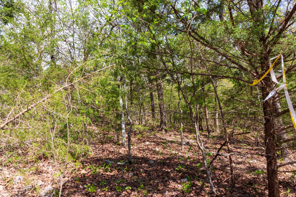 6.28 acre rural land tract for sale at Autumnwood Tract 10 in Fulton County, Arkansas