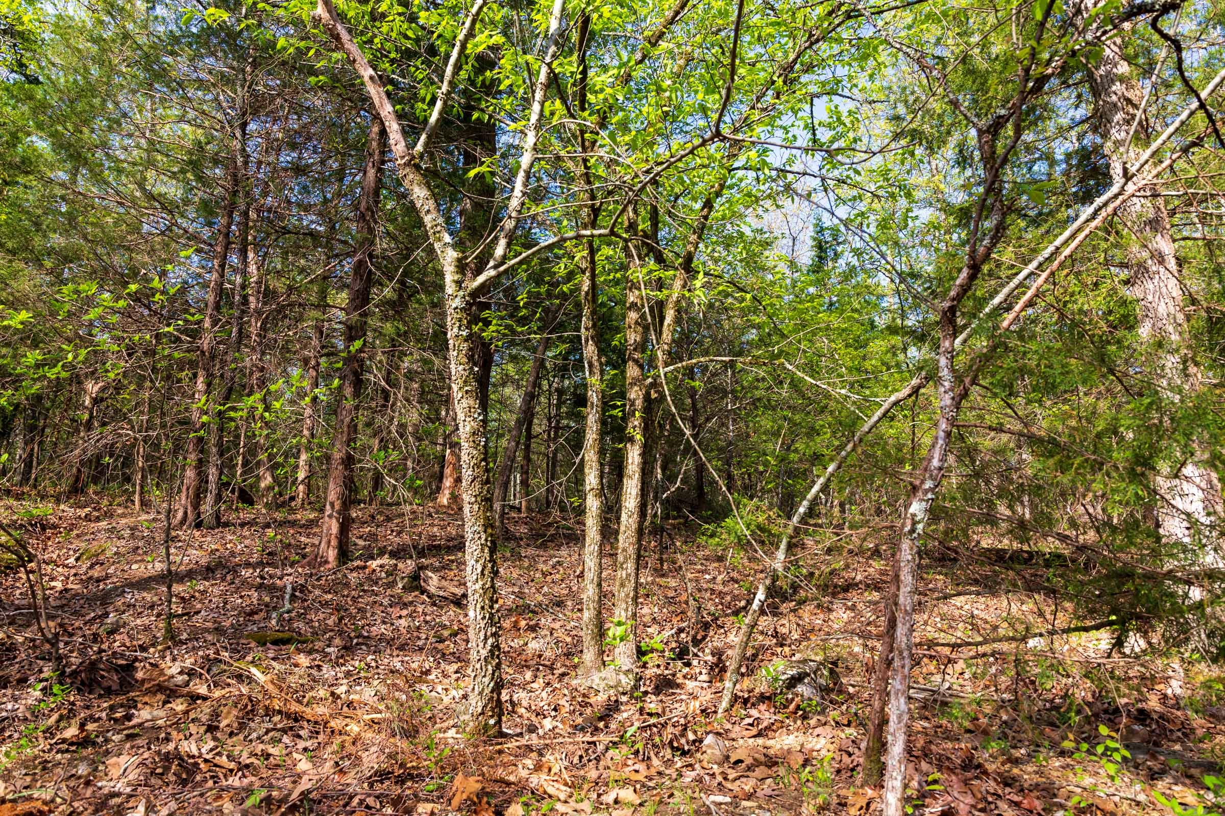 Tract 11 at Autumnwood in Fulton County, Arkansas