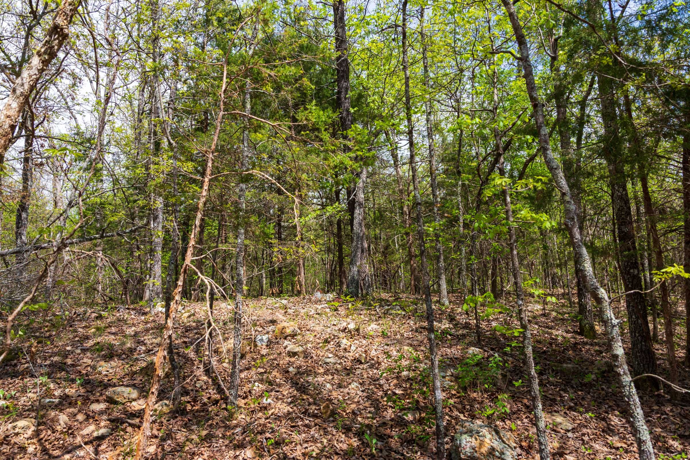 Tract 12 at Autumnwood in Fulton County, Arkansas