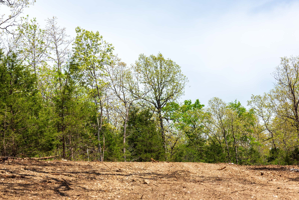 5.96 acre rural land tract for sale at Autumnwood Tract 12 in Fulton County, Arkansas