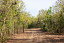 property photo for Autumnwood Tract 13, 5.85 acres for sale in Fulton County, Arkansas