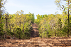 property photo for Autumnwood Tract 13, 5.85 acres for sale in Fulton County, Arkansas