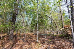 property photo for Autumnwood Tract 13, 5.85 acres for sale in Fulton County, Arkansas