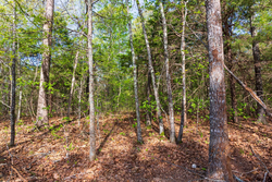 property photo for Autumnwood Tract 13, 5.85 acres for sale in Fulton County, Arkansas