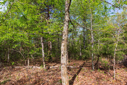 property photo for Autumnwood Tract 13, 5.85 acres for sale in Fulton County, Arkansas