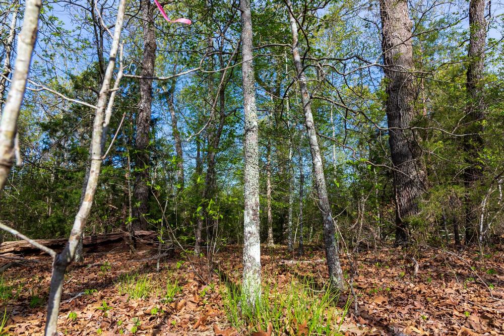 5.85 acre rural land tract for sale at Autumnwood Tract 13 in Fulton County, Arkansas