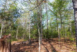 property photo for Autumnwood Tract 15, 5.51 acres for sale in Fulton County, Arkansas