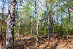 property photo for Autumnwood Tract 15, 5.51 acres for sale in Fulton County, Arkansas