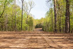 property photo for Autumnwood Tract 15, 5.51 acres for sale in Fulton County, Arkansas