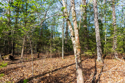 property photo for Autumnwood Tract 15, 5.51 acres for sale in Fulton County, Arkansas