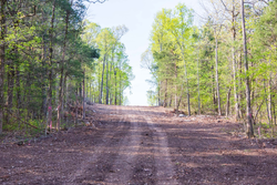 property photo for Autumnwood Tract 17, 5.66 acres for sale in Fulton County, Arkansas