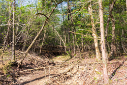 property photo for Autumnwood Tract 17, 5.66 acres for sale in Fulton County, Arkansas