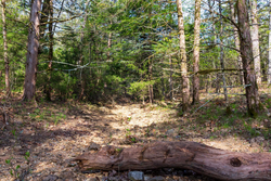 property photo for Autumnwood Tract 17, 5.66 acres for sale in Fulton County, Arkansas