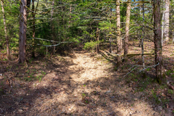 property photo for Autumnwood Tract 17, 5.66 acres for sale in Fulton County, Arkansas