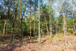 property photo for Autumnwood Tract 17, 5.66 acres for sale in Fulton County, Arkansas