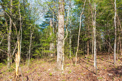 property photo for Autumnwood Tract 17, 5.66 acres for sale in Fulton County, Arkansas
