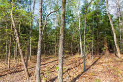 property photo for Autumnwood Tract 17, 5.66 acres for sale in Fulton County, Arkansas