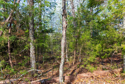 property photo for Autumnwood Tract 17, 5.66 acres for sale in Fulton County, Arkansas