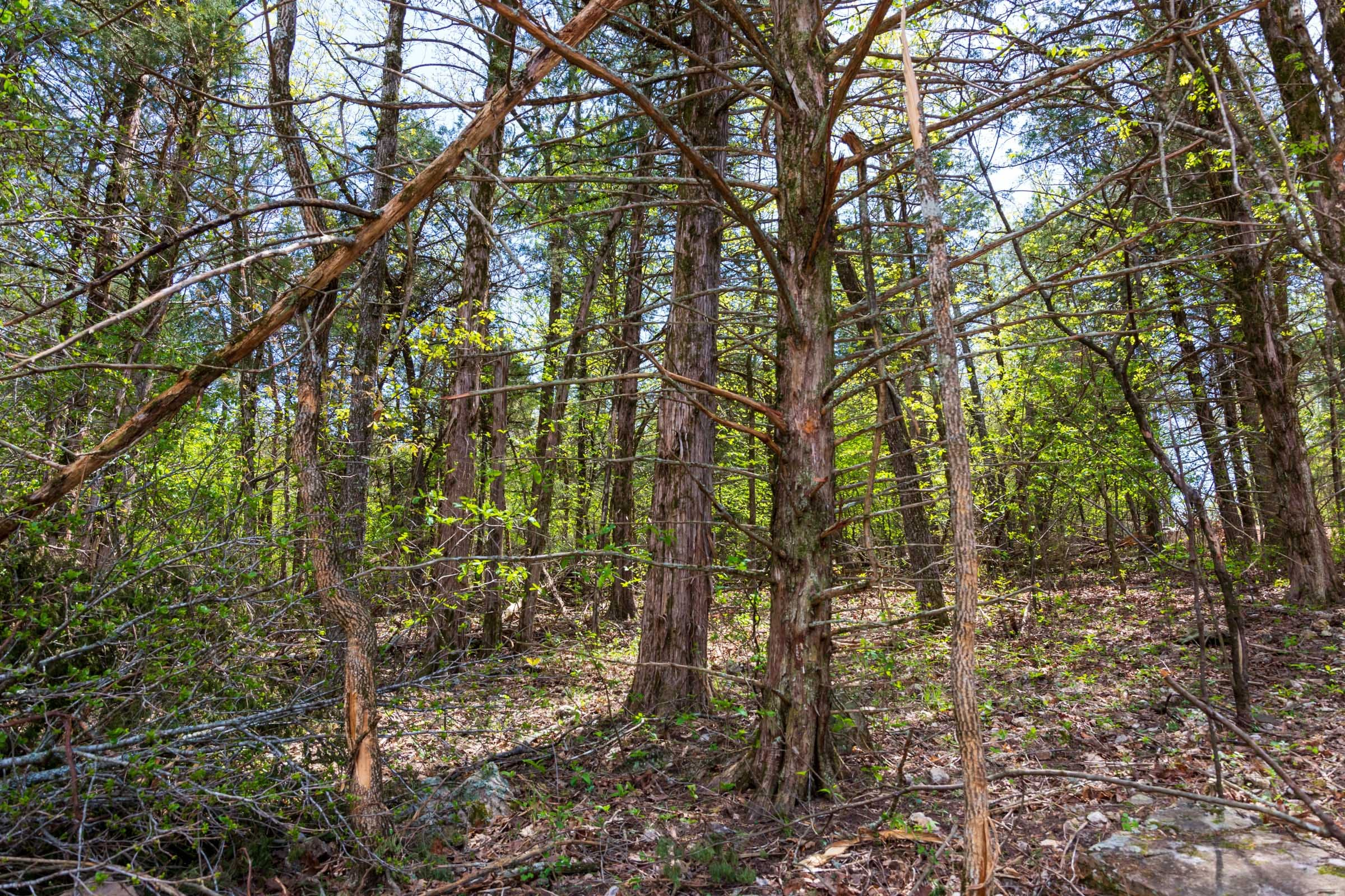 Tract 18 at Autumnwood in Fulton County, Arkansas