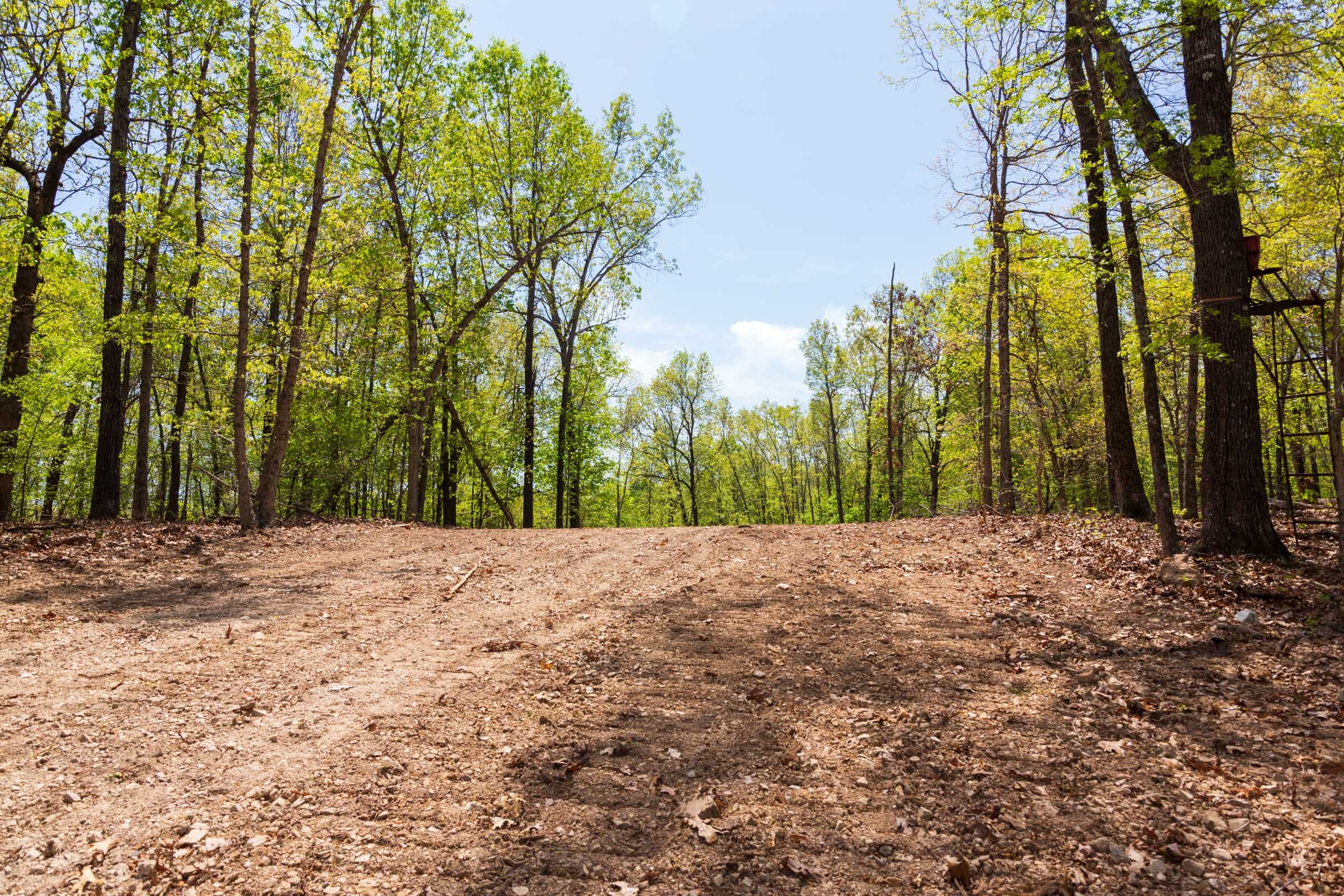 Tract 21 at Autumnwood in Fulton County, Arkansas