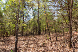 property photo for Autumnwood Tract 3, 5.97 acres for sale in Fulton County, Arkansas