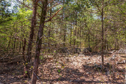 property photo for Autumnwood Tract 3, 5.97 acres for sale in Fulton County, Arkansas