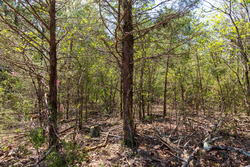 property photo for Autumnwood Tract 3, 5.97 acres for sale in Fulton County, Arkansas