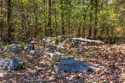 property photo for Autumnwood Tract 3, 5.97 acres for sale in Fulton County, Arkansas