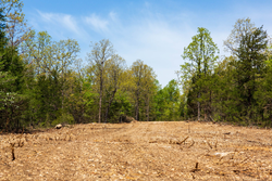 property photo for Autumnwood Tract 3, 5.97 acres for sale in Fulton County, Arkansas