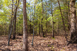 property photo for Autumnwood Tract 3, 5.97 acres for sale in Fulton County, Arkansas