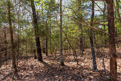 property photo for Autumnwood Tract 3, 5.97 acres for sale in Fulton County, Arkansas