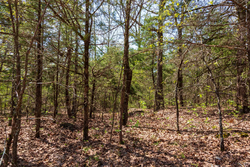 property photo for Autumnwood Tract 3, 5.97 acres for sale in Fulton County, Arkansas