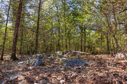 property photo for Autumnwood Tract 3, 5.97 acres for sale in Fulton County, Arkansas