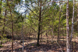 property photo for Autumnwood Tract 3, 5.97 acres for sale in Fulton County, Arkansas