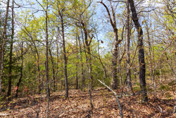 property photo for Autumnwood Tract 9, 6.28 acres for sale in Fulton County, Arkansas