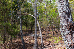 property photo for Autumnwood Tract 9, 6.28 acres for sale in Fulton County, Arkansas