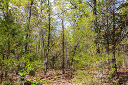property photo for Autumnwood Tract 9, 6.28 acres for sale in Fulton County, Arkansas