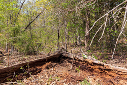 property photo for Autumnwood Tract 9, 6.28 acres for sale in Fulton County, Arkansas