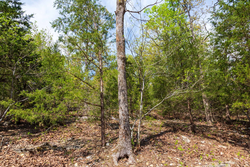 property photo for Autumnwood Tract 9, 6.28 acres for sale in Fulton County, Arkansas